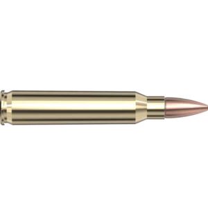 *Inventory Reduction Sale - Hornady Loaded Ammo - BLACK - 5.56mm NATO 62 Grain FMJ (20)