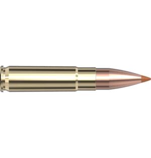 *Inventory Reduction Sale - Hornady Loaded Ammo - BLACK - 300 Blackout 110 Grain NTX (20)